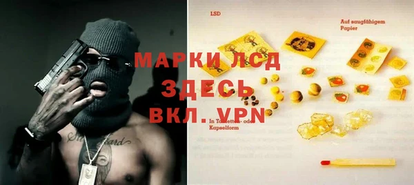 шишки Арсеньев