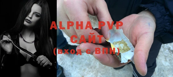 шишки Арсеньев