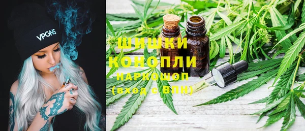 шишки Арсеньев