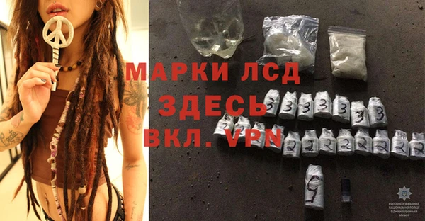 шишки Арсеньев