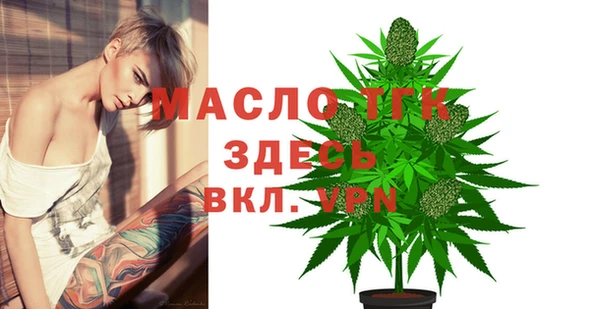 шишки Арсеньев